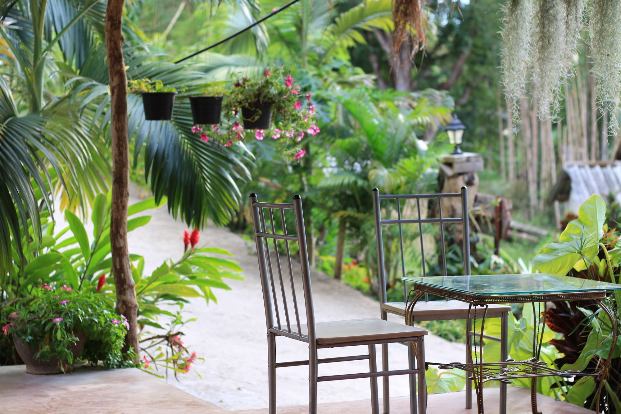 Chang Pai Garden (Adults Only) Exterior foto